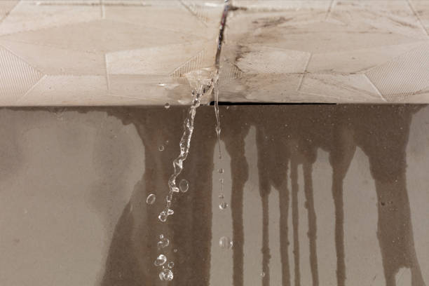 Professional Water Extraction technician working in Rocky River, OH